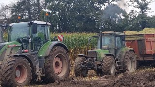 ensilage de maïs 2023 conditions difficiles