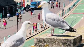 A DAY IN BRIGHTON, UK @ JULY, 2022