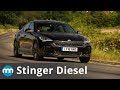 2019 Kia Stinger Diesel Review! Diesel Fun? New Motoring