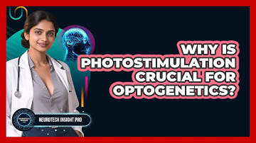 Why Is Photostimulation Crucial For Optogenetics? - Neurotech Insight Pro