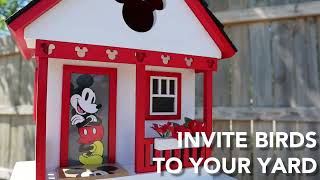 Home Bazaar Mickey Deluxe Cottage Bird House, Good Day