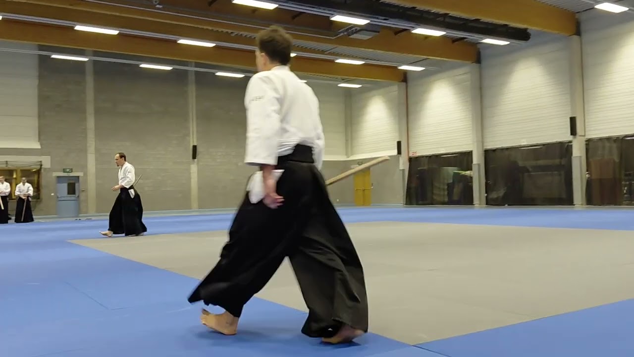 20th anniversary Demo by Christian Tissier Shihan, Wim Van Gils and more