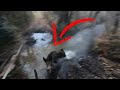 Charge dun gros sanglier en battue jai eu trs chaud  mrc 33 chasse sanglier wildboar hunt