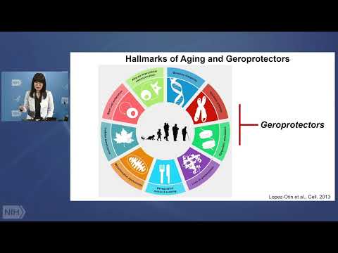 WALS: Mechanisms of Ovarian Aging: A Target for Geroprotection in Women