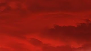 Comfort Crowd   Conan Gray  1 Hour Loop