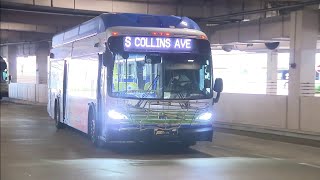 Miami-Dade Transit easing capacity limits on public vehicles