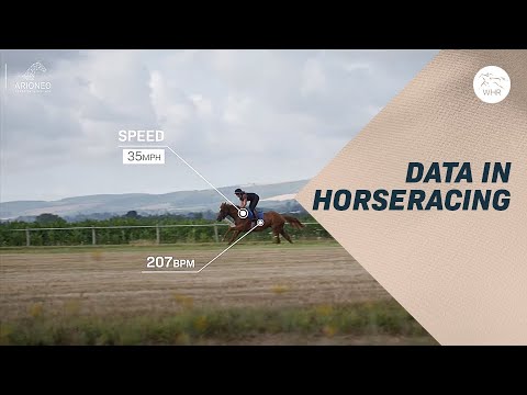 Horse Racing Industry Statistics