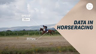 Using Data To Train Horses