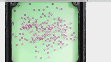 Asycube 50 with a flat plate