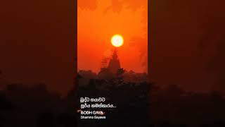 අති දුර්ලභ බුද්ධ ගයාව වජ්‍රාසන සූර්ය නමස්කාරය #dhammagayawa