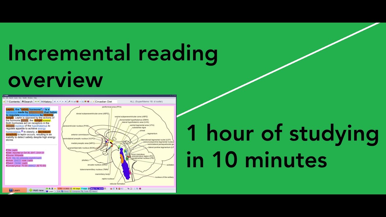 1 hour of incremental reading in 10 minutes (SuperMemo) | @Naess