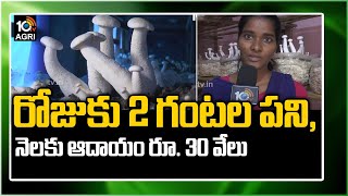 రోజుకు 2 గంట‌ల ప‌ని, నెల‌కు ఆదాయం రూ. 30 వేలు | Mushroom Cultivation Techniques | 10TV News