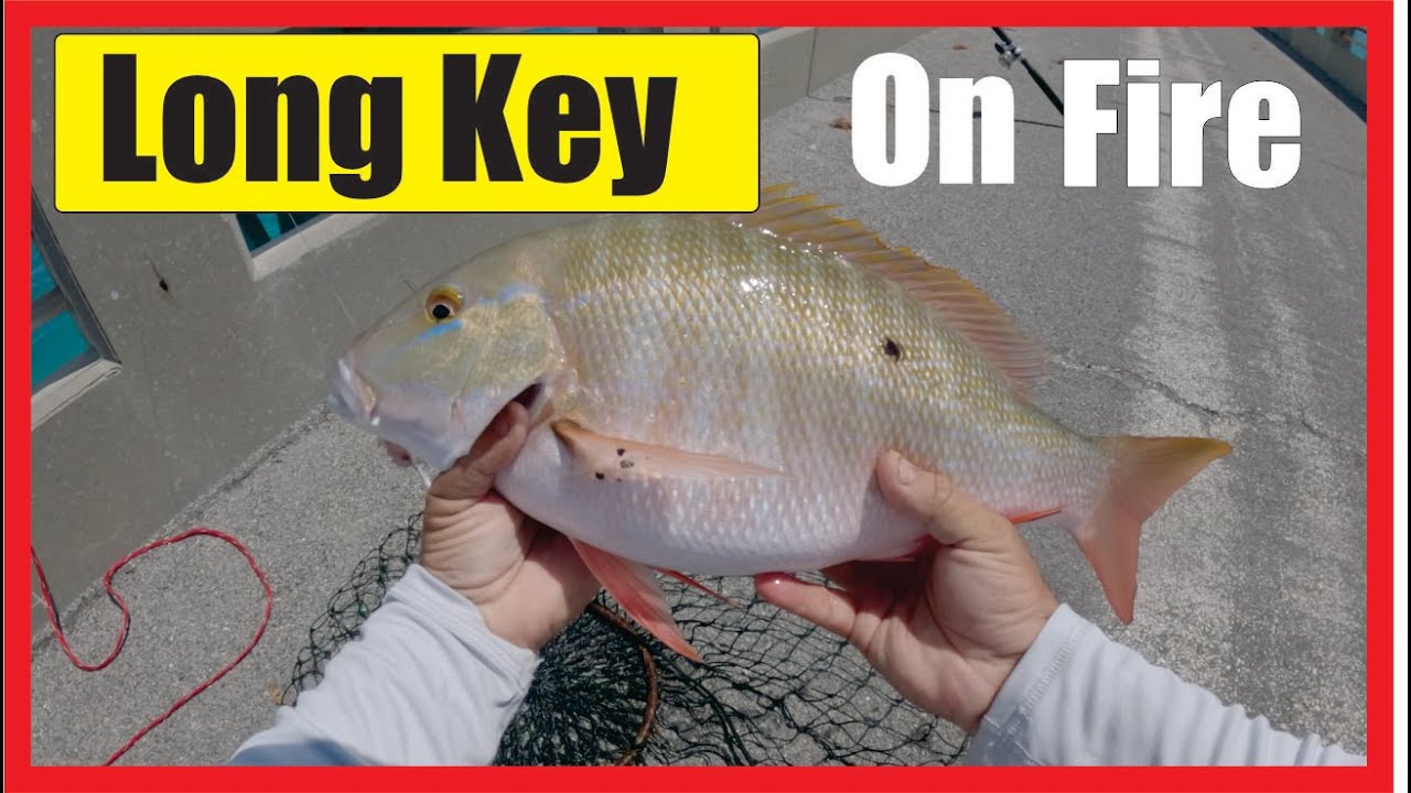 Como Pescar Snapper o Pargos en los cayos de la Florida