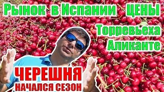 Рынок Торревьеха, Аликанте. Рынок Испания. Цены в Испании, цены в Торревьехе Испания