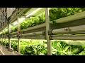 【安川電機】植物工場システム「アグリネ」