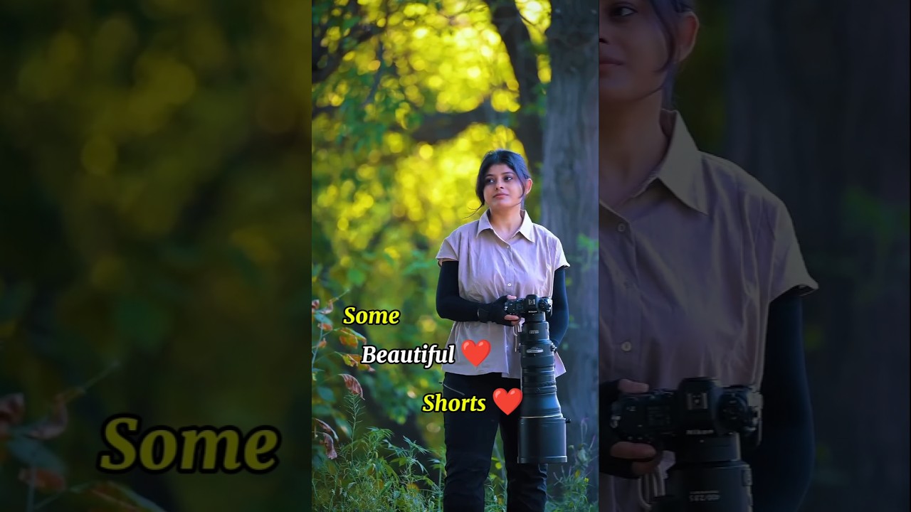 So Peaceful, So Beautiful 🕊️🌸 | Nature Shorts 