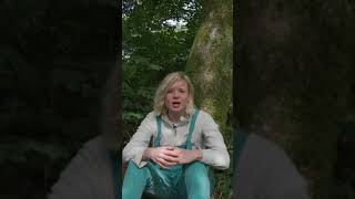 Ancient Woodlands UK