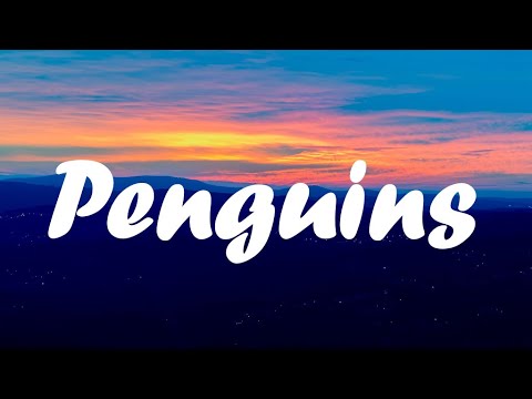 Ed Sheeran - Penguins (lyrics)