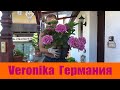 Летние вдохновляющие дела! 🏠 Summer Inspirational Things!