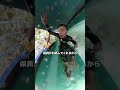 #waterslide #雑学 #都市伝説