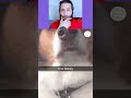 Funny Animal Videos 2026 😅 - Funniest Dogs and Cats Videos 😁 Part 9012