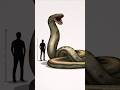 world of giant snakes!.#snakes #gk #news #shortsvideo #facts #reptiles #ancienthistory #venom #king