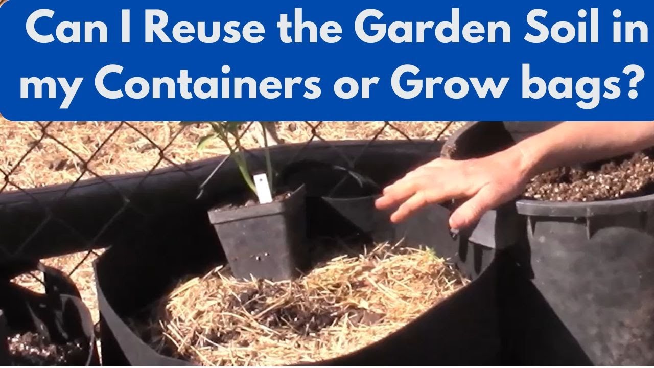 Can I Reuse the Garden Soil in my Containers or Grow bags? - YouTube