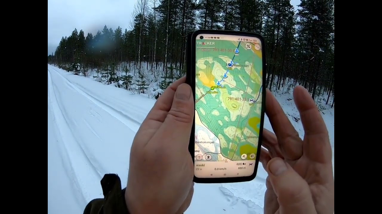 Hirvijahdissa vuoden viimeisenä päivänä / Hyvää uutta vuotta !