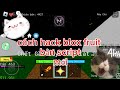 cách hack blox fruit bản script mới