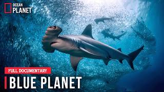 BLUE PLANET | Exploring the Untold Mysteries of Our Living Ocean | FULL EPISODE | 4K Documentary