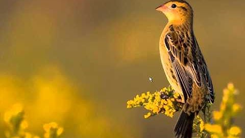 Windows 8 Configuring Lesson 26 Configure System Recovery Options