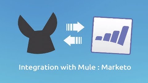 Marketo Connector Demo | Integration with MuleSoft