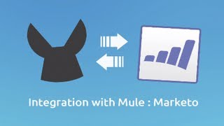 Marketo Connector Demo | Integration with MuleSoft screenshot 5