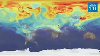 Celebrity 2016: The Hottest Year on Record Profile
