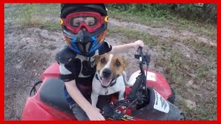 Backyard motocross fun screenshot 1