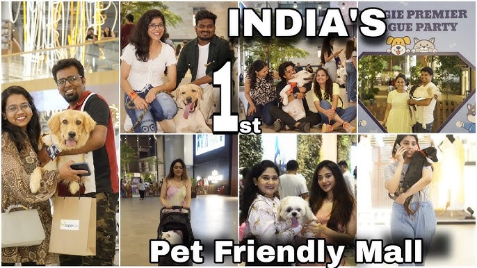 Dog-Friendly Mall