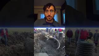 Paleontologist REACTS to Red Dead Redemption 2 | Fossil Missions