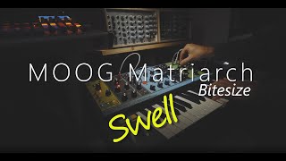 Moog Matriarch Bitesize #1 : Swell