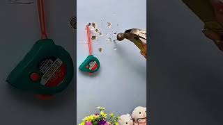 Self Adhesive Screw Hooks for Wall