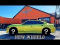 2019 SCAT PACK CHARGER ON 26s DUB WOOZE