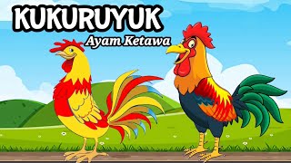 Kukuruyuk | Ayam Ketawa | Lagu Ayam Berkokok