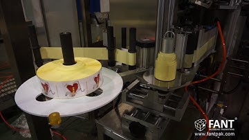 Vertical Form Fill and Seal machine with pouch labeling device