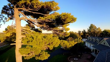 Testing Caddx Peanut