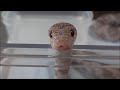 カメラ好きなヘビ Snake Likes Camera