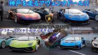 【空ぶかしがヤバすぎる‼︎】神戸を走るアヴェンタドールたち‼︎ 【Only aventador touring team × TEAM TOKOROTECH】