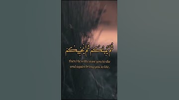 تلاوة سورة البقرة الآية 29