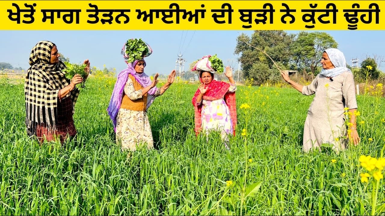 ਖੇਤੋਂ ਸਾਗ ਤੋੜਨ ਆਈਆਂ ਦੀ ਬੁੜੀ ਨੇ ਕੁੱਟੀ ਢੂੰਹੀ sag toran gyian kheton punjabi short video #sag #kheton 