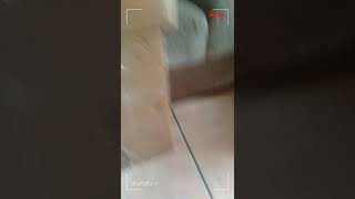 Mesin Mika Parking Part 4 Cara Menggunakan Mesin Parkir