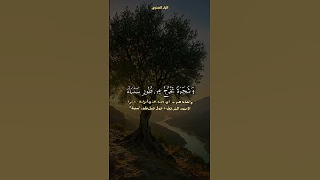 سورة المؤمنون | الشيخ محمد صديق المنشاوي