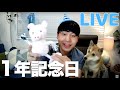 【LIVE配信】おかげさまでYouTubeを始めて１年が経ちました！
